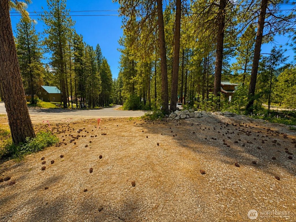 Photo of 21606 Camp 12 Road, Leavenworth, WA 98826 (MLS # 2528278)