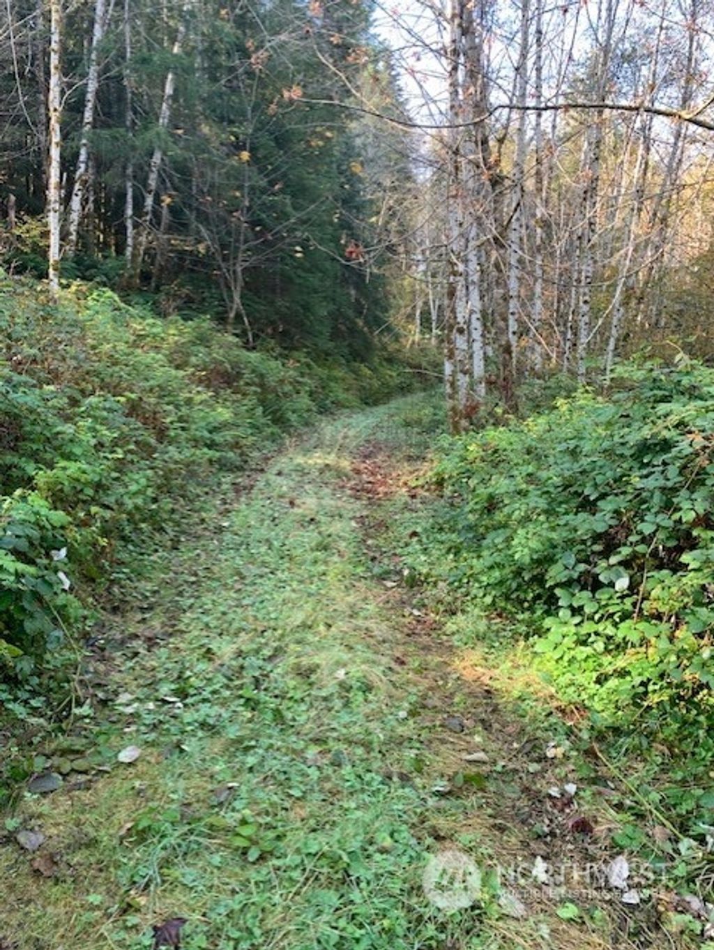 Photo of 535 xx SE 116th Street, North Bend, WA 98045 (MLS # 2312666)