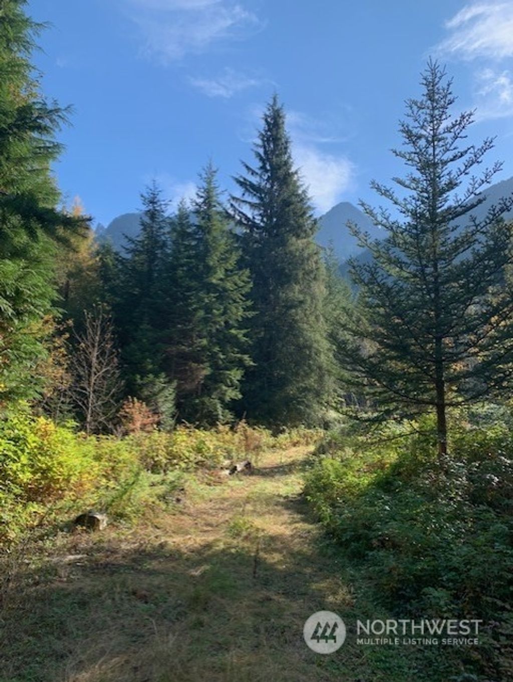 Photo of 535 xx SE 116th Street, North Bend, WA 98045 (MLS # 2312666)