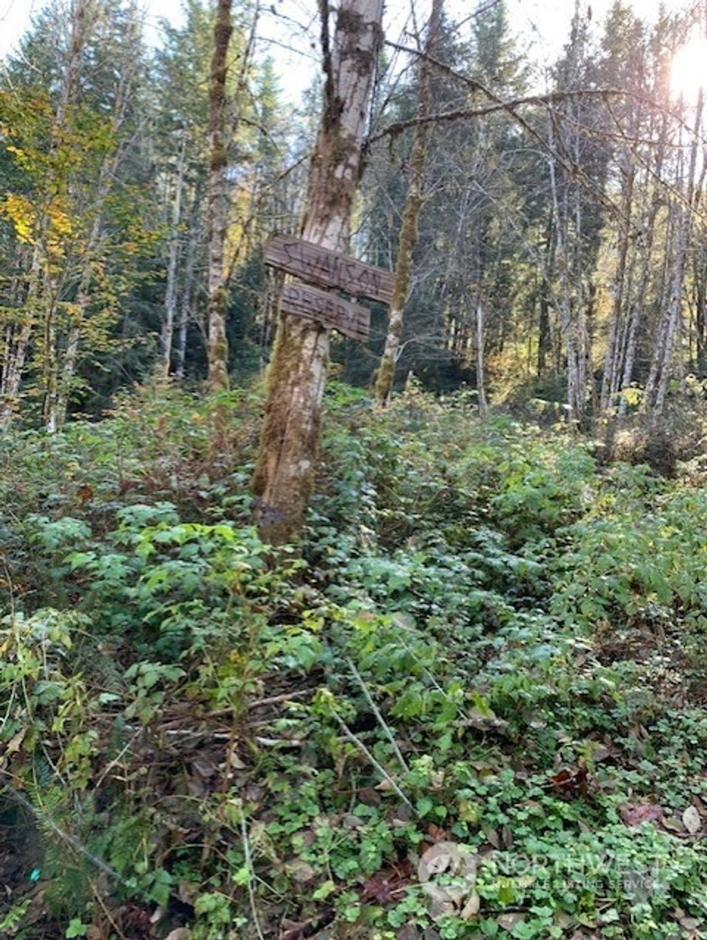 Photo of 535 xx SE 116th Street, North Bend, WA 98045 (MLS # 2312666)