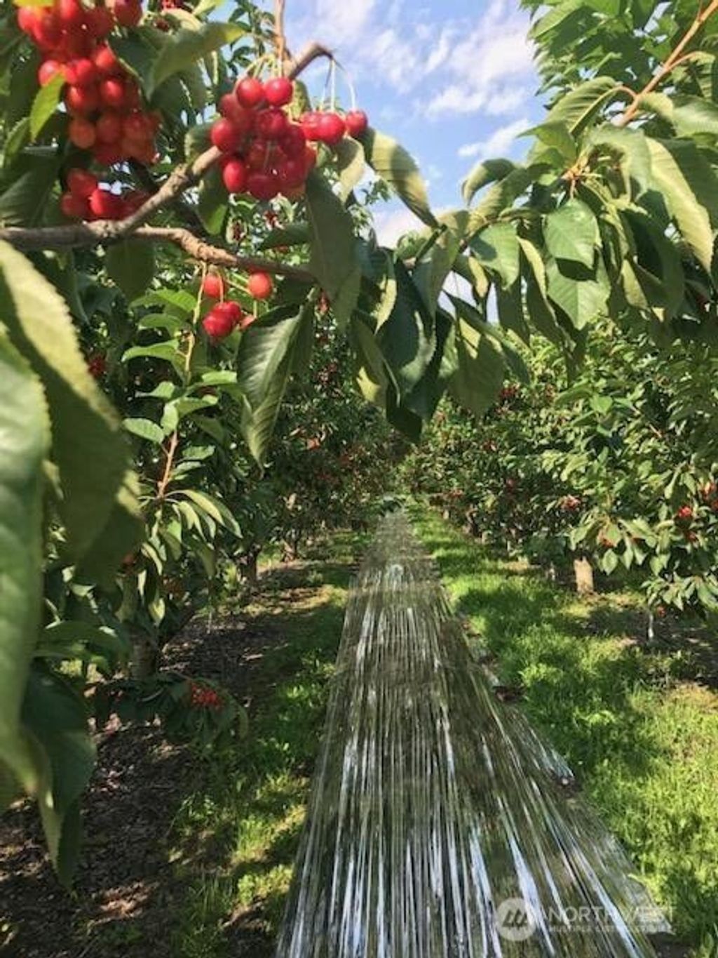 Photo of 543 Jack Wells Road, Bridgeport, WA 98813 (MLS # 2512508)