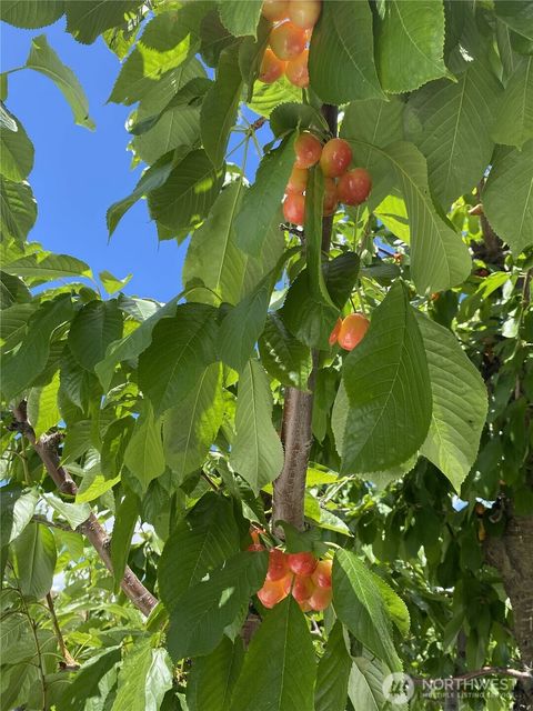 Photo of 543 Jack Wells Road, Bridgeport, WA 98813 (MLS # 2512508)