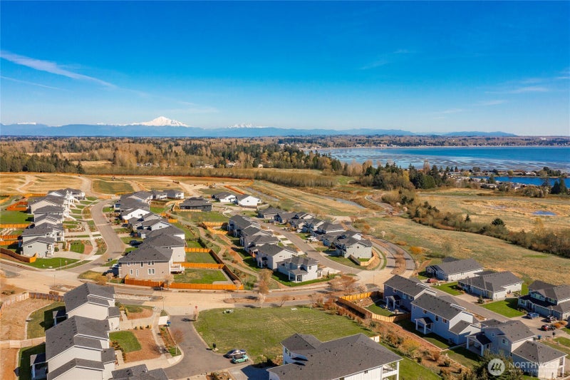 5463 Tolmiea Court