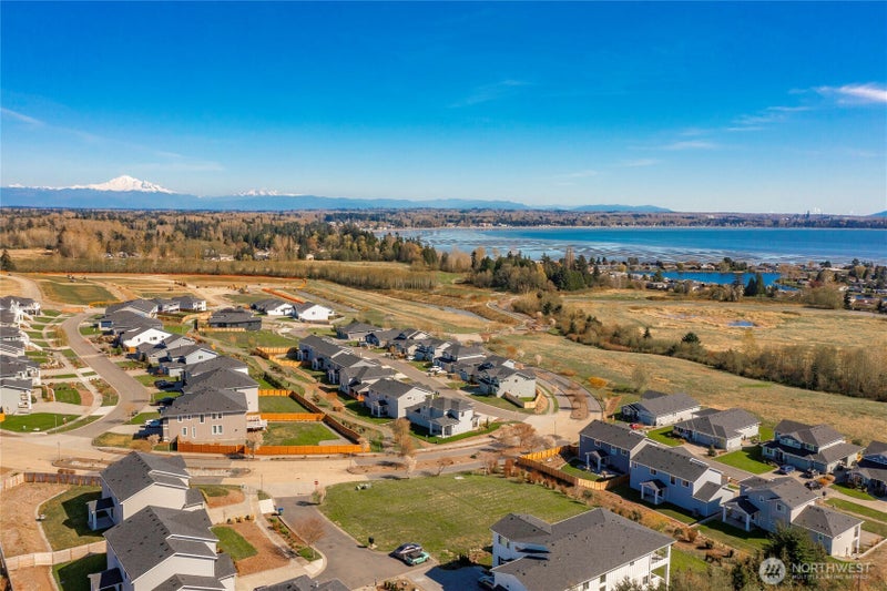 5463 Tolmiea Court
