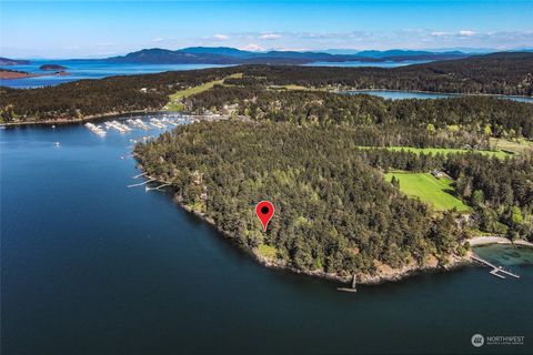 124 Bazalgette Point Drive, Friday Harbor, WA 98250 - MLS#: 2255464