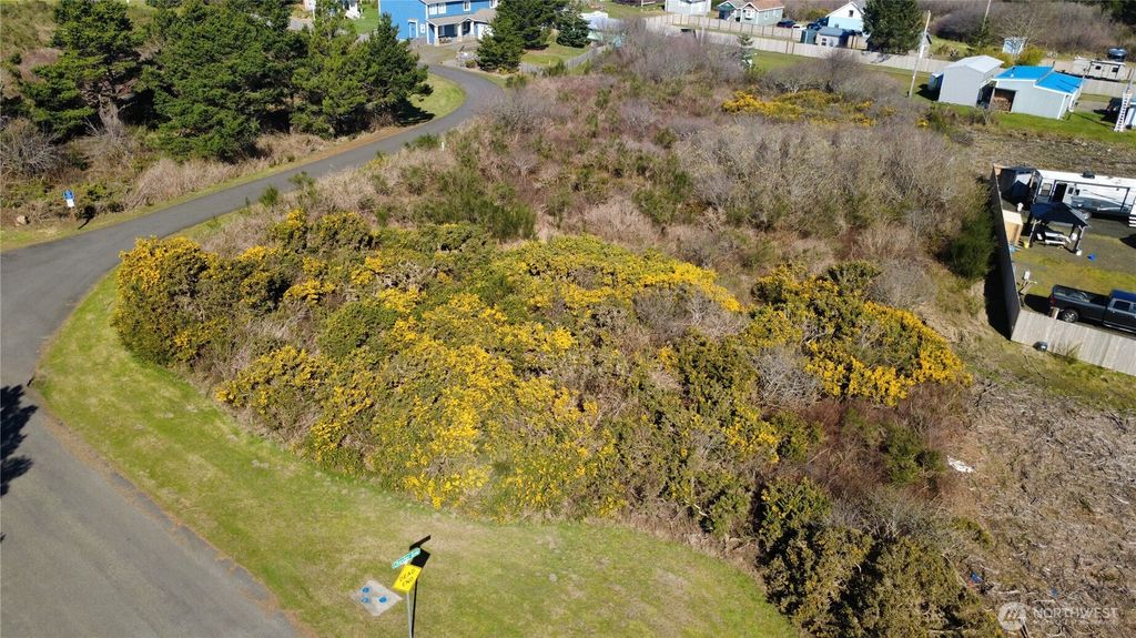 Photo of 1 Francis Seamore Lane, Grayland, WA 98547 (MLS # 2499213)