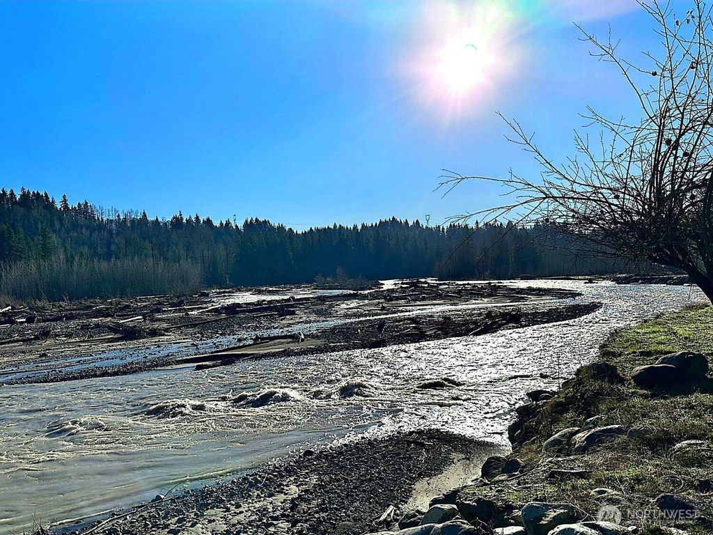 Photo of 17118 226th St Ct E, Graham, WA 98338 (MLS # 2461105)