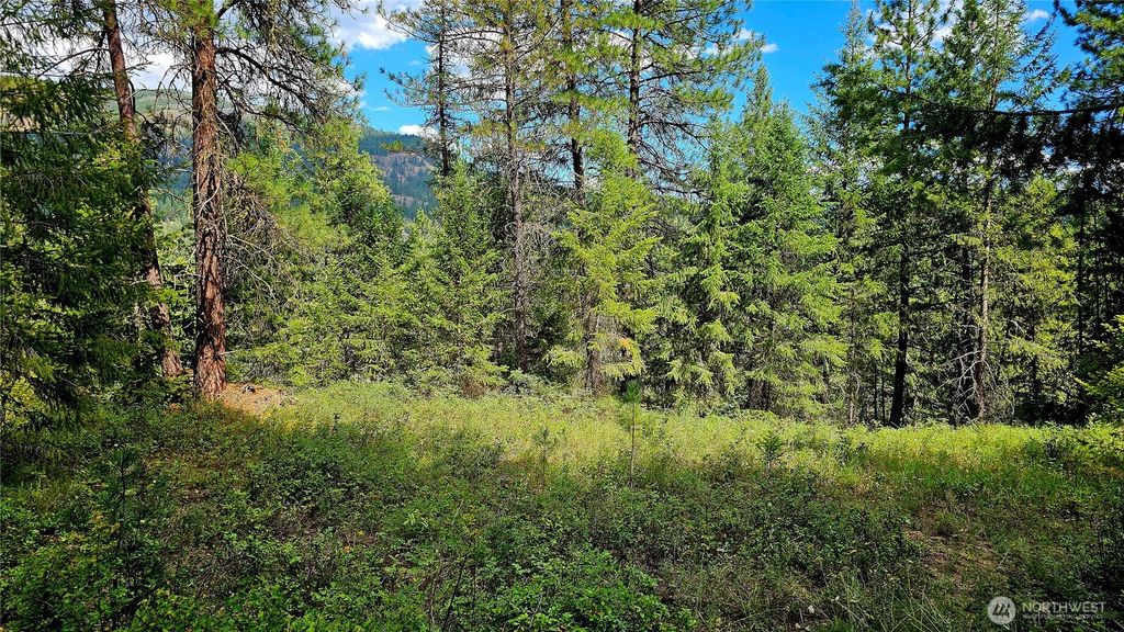 Photo of 10 Humes Road, Kettle Falls, WA 99141 (MLS # 2553022)