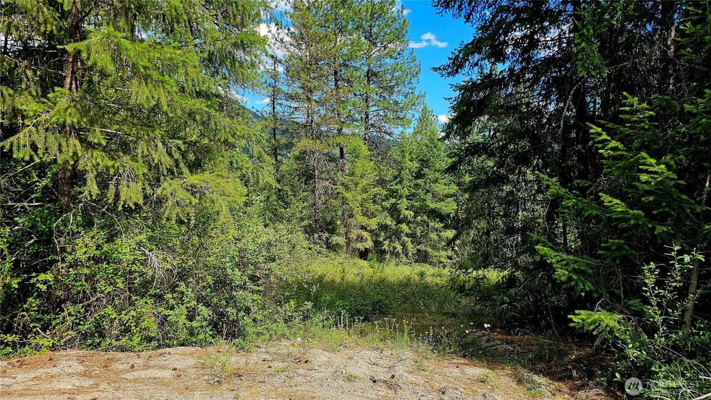 Photo of 10 Humes Road, Kettle Falls, WA 99141 (MLS # 2553022)