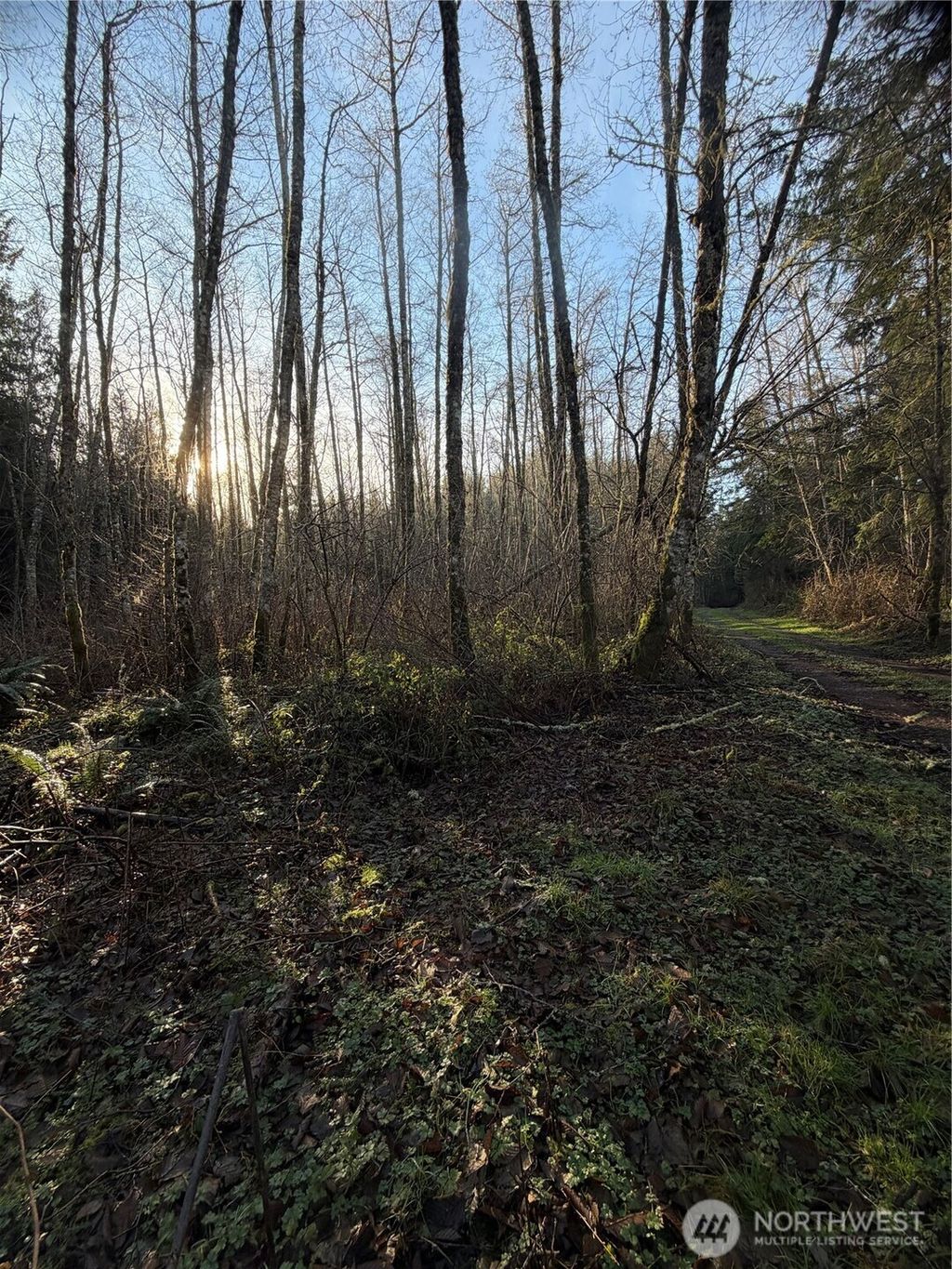 Photo of 400 House Place, Camano Island, WA 98282 (MLS # 2469770)