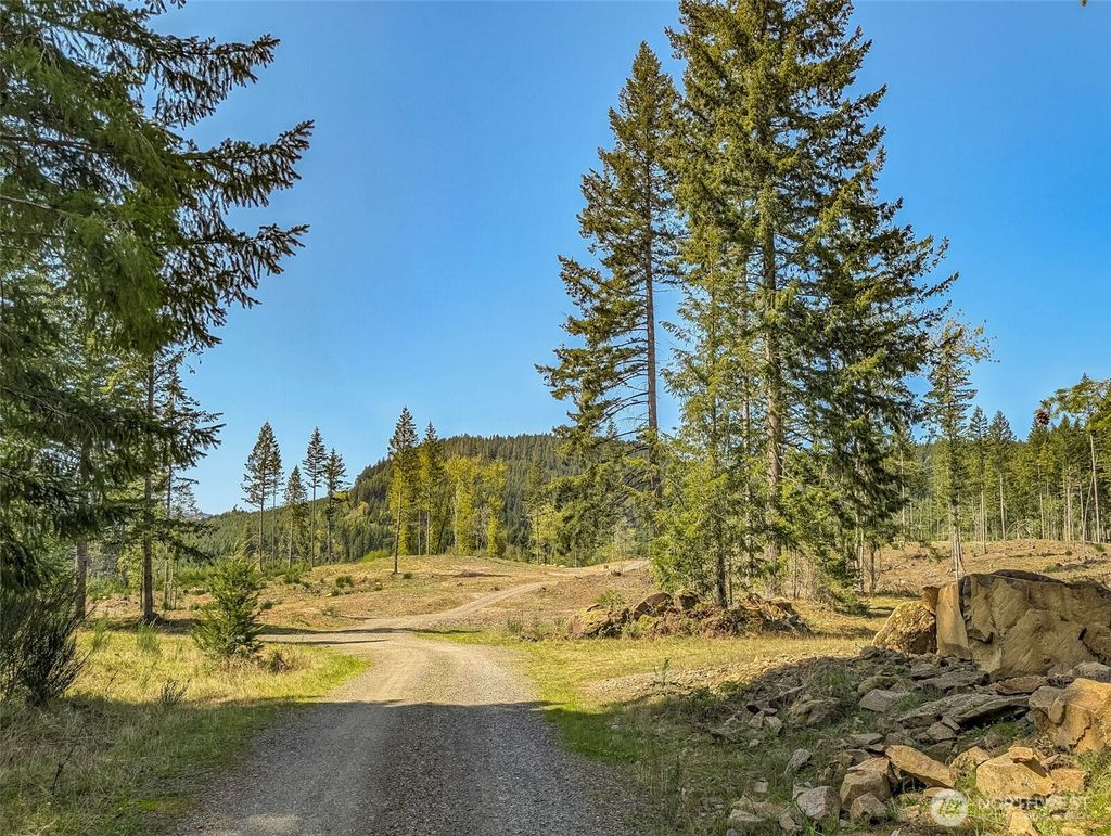 Photo of 0 Craig Road #Lot A3, Packwood, WA 98361 (MLS # 2482484)