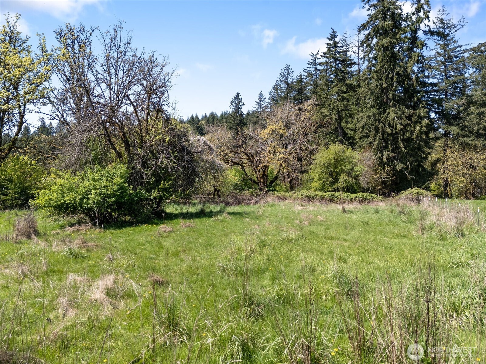 0 SW Alder Street