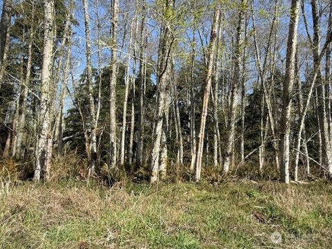 Photo of 0 Lot 18 Ander Park Road, Freeland, WA 98249 (MLS # 2501242)