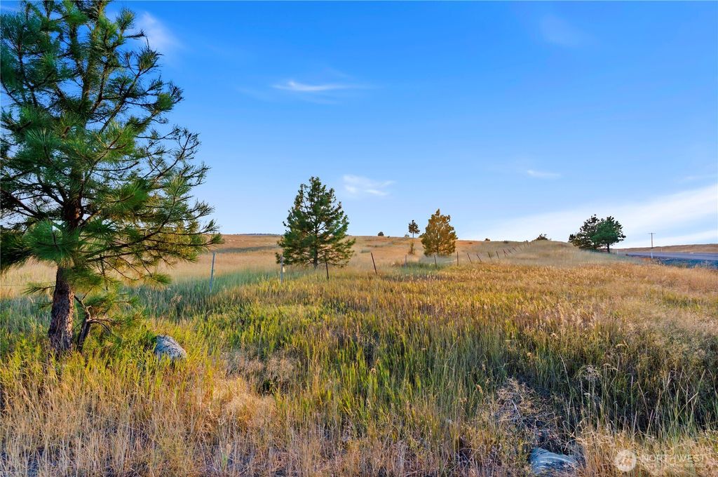 Photo of 0 Horseshoe Lane, Cle Elum, WA 98922 (MLS # 2486113)