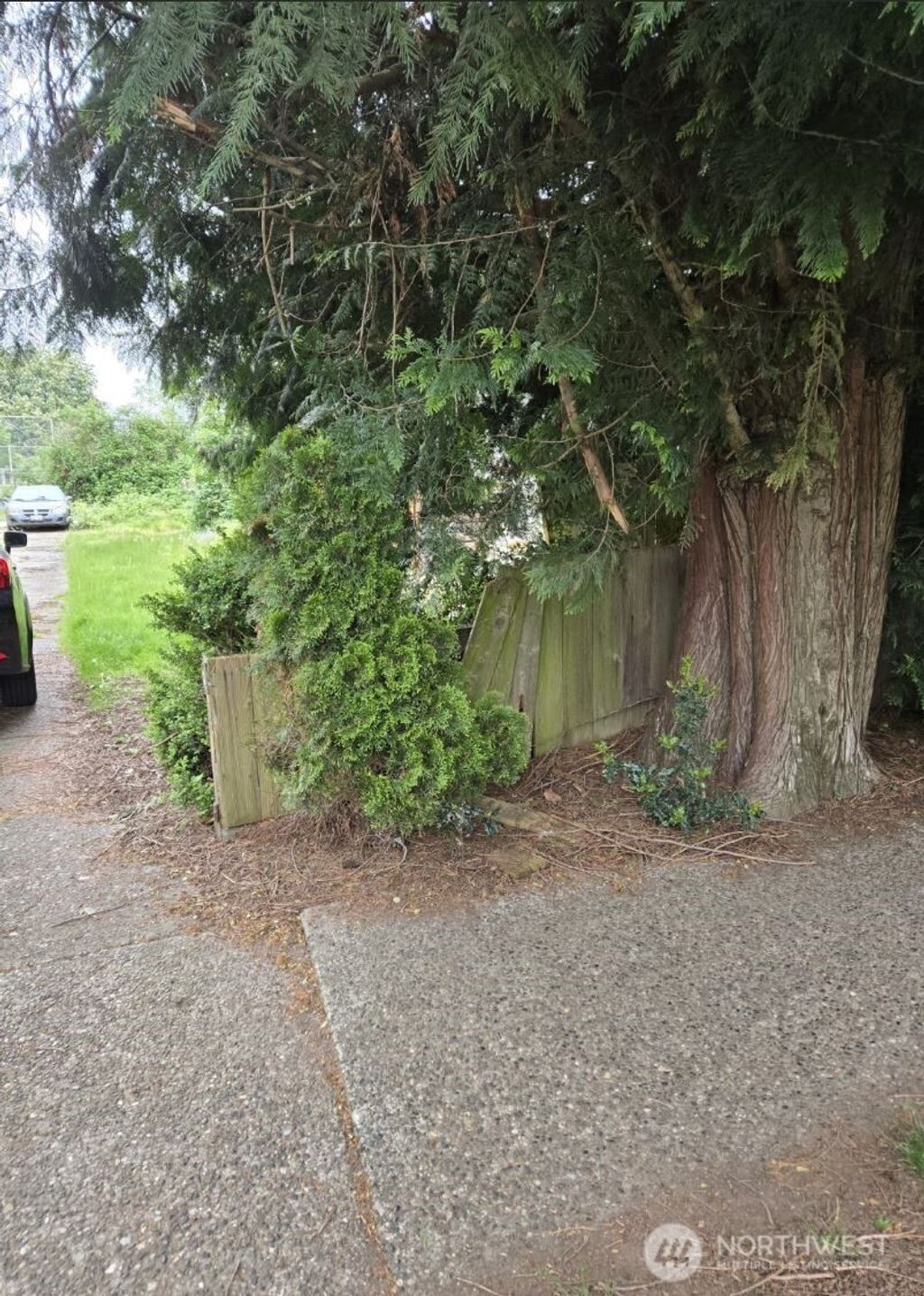 Photo of 8452 12th Avenue SW, Seattle, WA 98106 (MLS # 2539207)