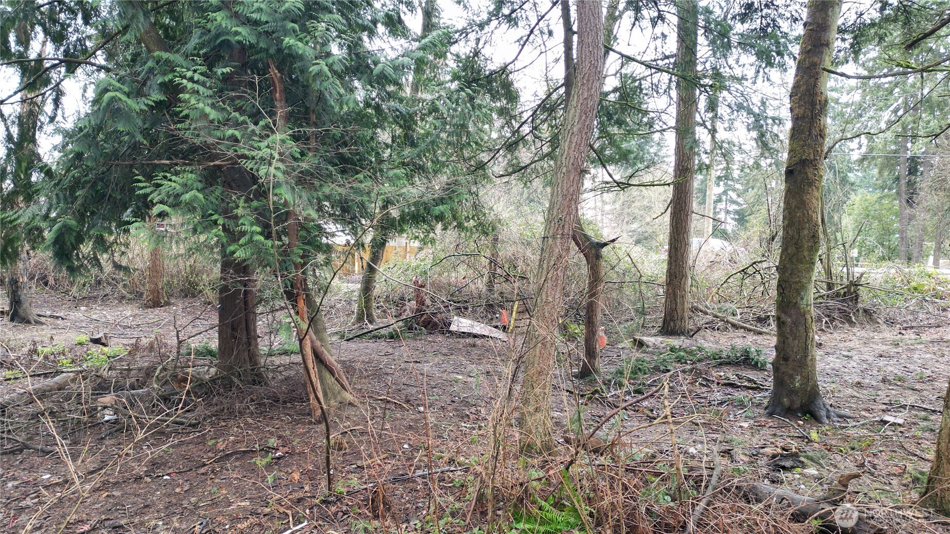 1111 Enchanted Pkwy S