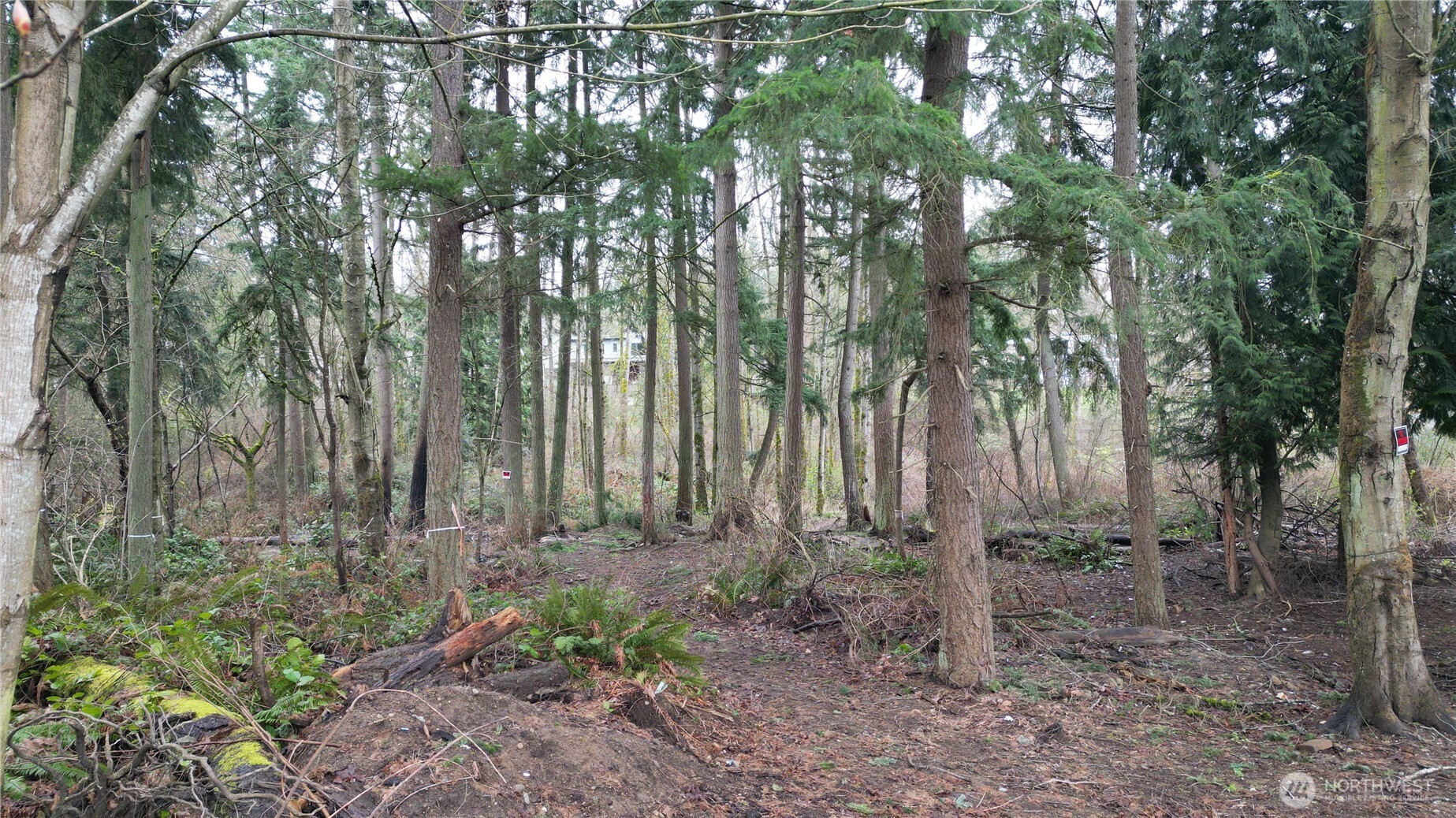 1111 Enchanted Pkwy S