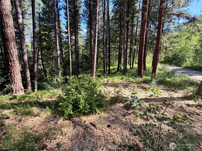 11 Highland Meadows