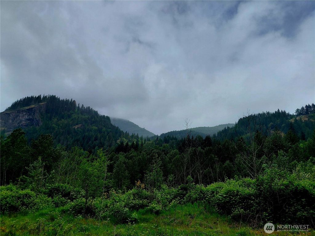 Photo of 0 Highway 12, Randle, WA 98377 (MLS # 2526718)