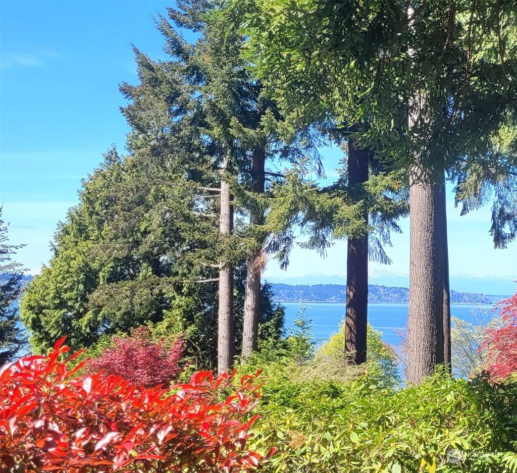 Photo of 16056 Maplewild Avenue SW, Burien, WA 98166 (MLS # 2249388)