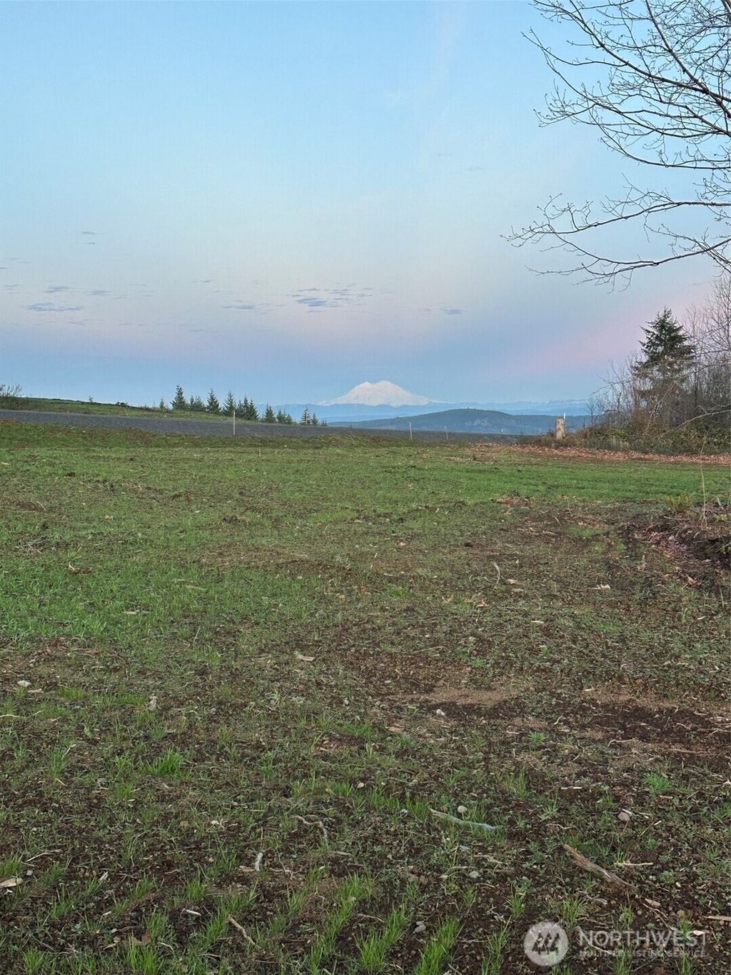 Photo of 239 Suncrest Drive, Castle Rock, WA 98611 (MLS # 2468262)