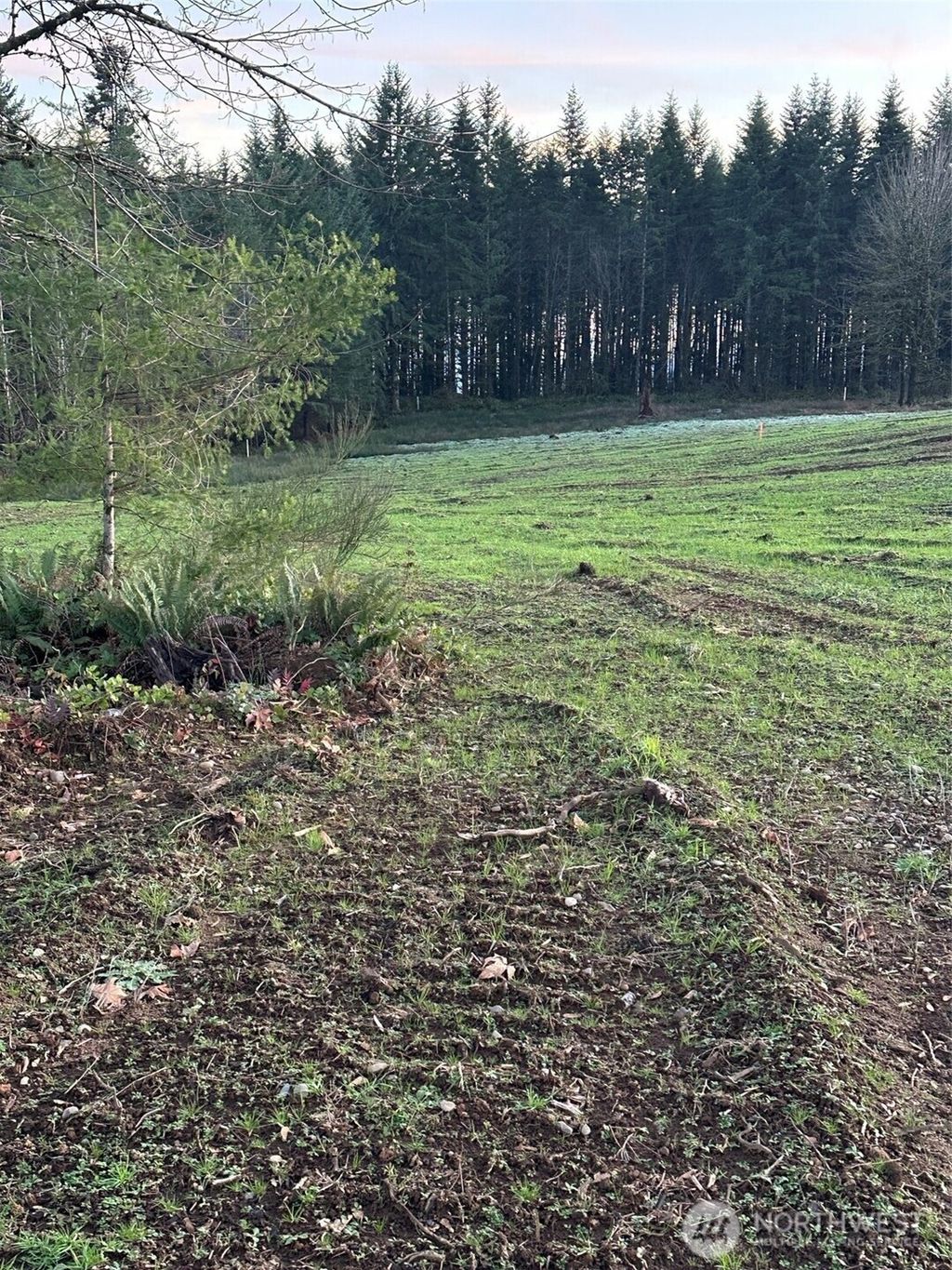 Photo of 239 Suncrest Drive, Castle Rock, WA 98611 (MLS # 2468262)