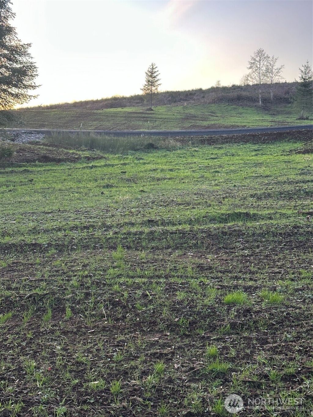 Photo of 239 Suncrest Drive, Castle Rock, WA 98611 (MLS # 2468262)