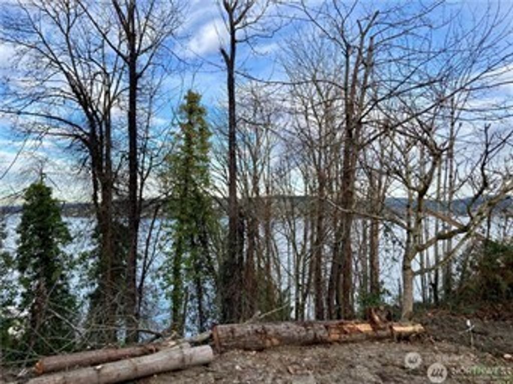 Photo of 97 XX Arrowsmith Avenue S, Seattle, WA 98118 (MLS # 2448595)