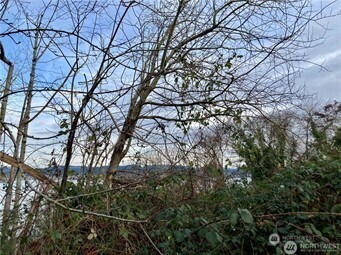 97 XX Arrowsmith Avenue S