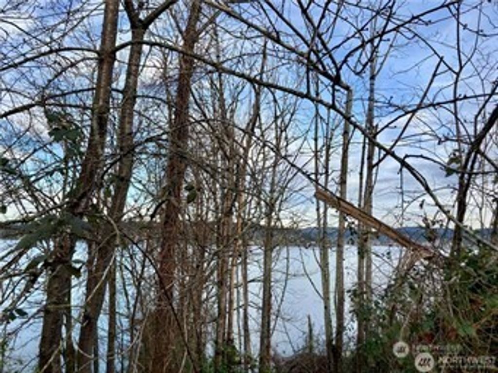 Photo of 97 XX Arrowsmith Avenue S, Seattle, WA 98118 (MLS # 2448595)