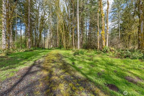 171 Deer Park Lane Toledo WA 98591