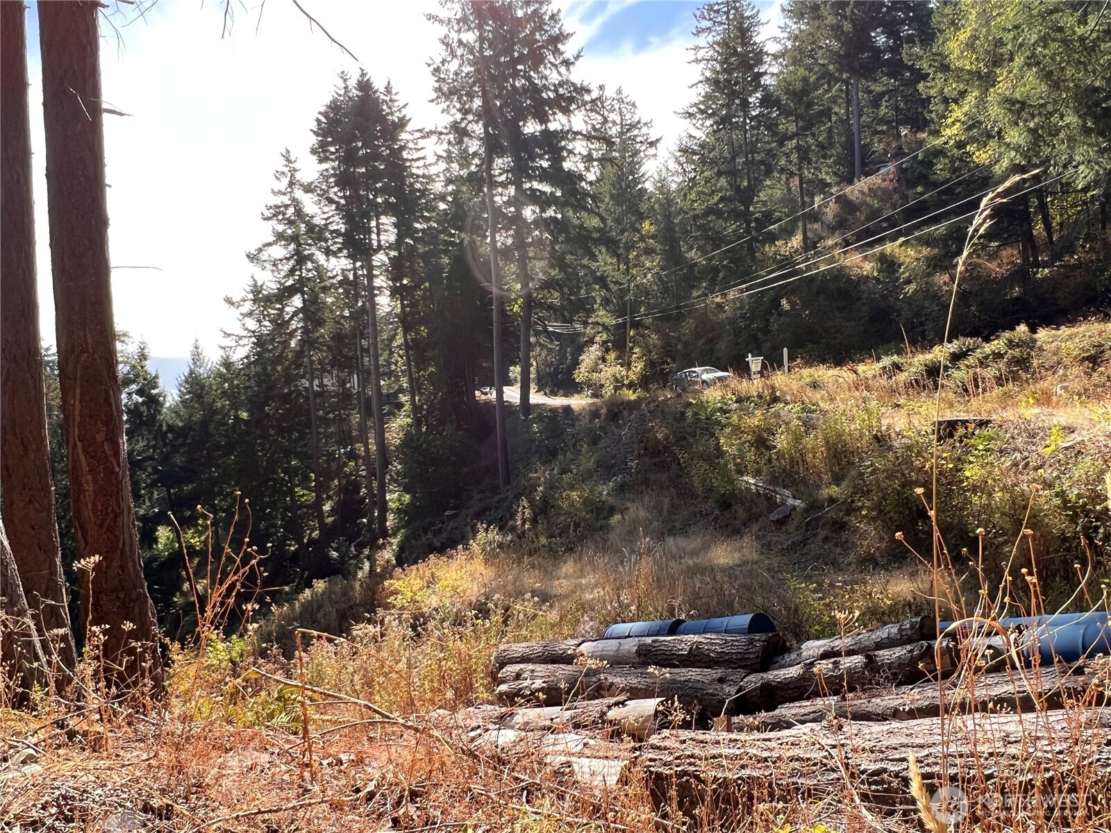 3010 Hales Passage Drive