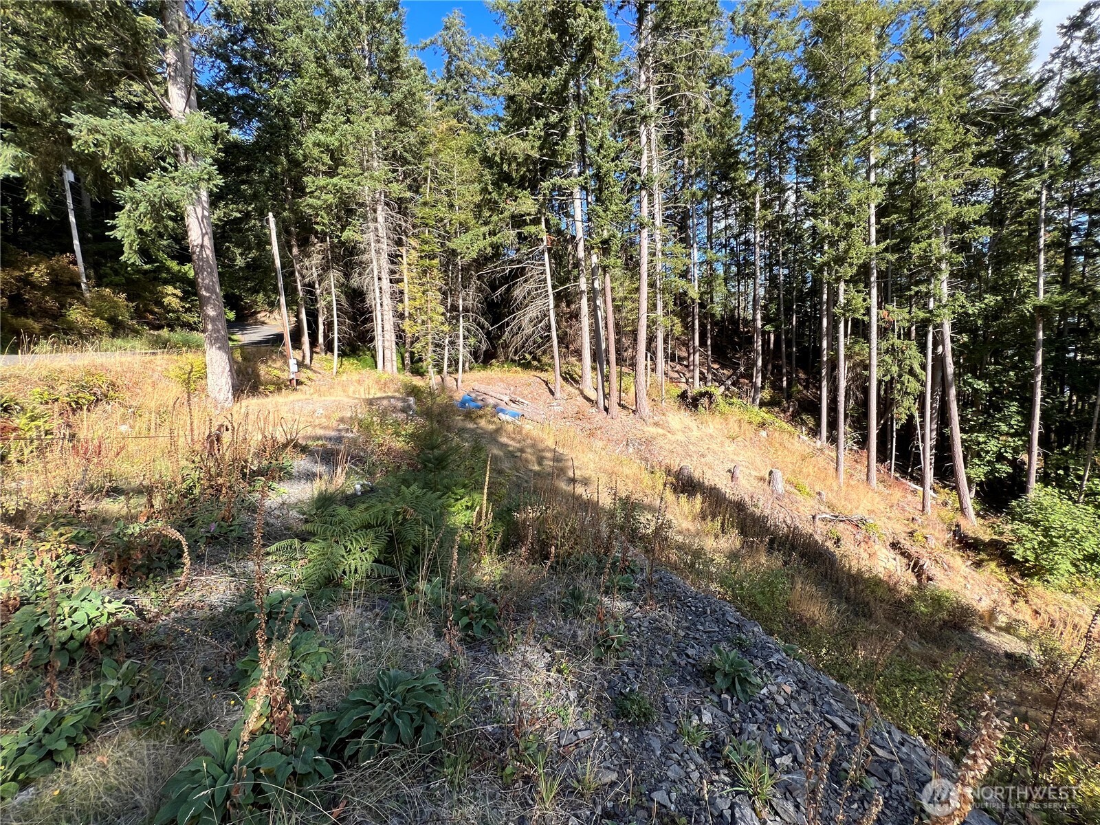 3010 Hales Passage Drive