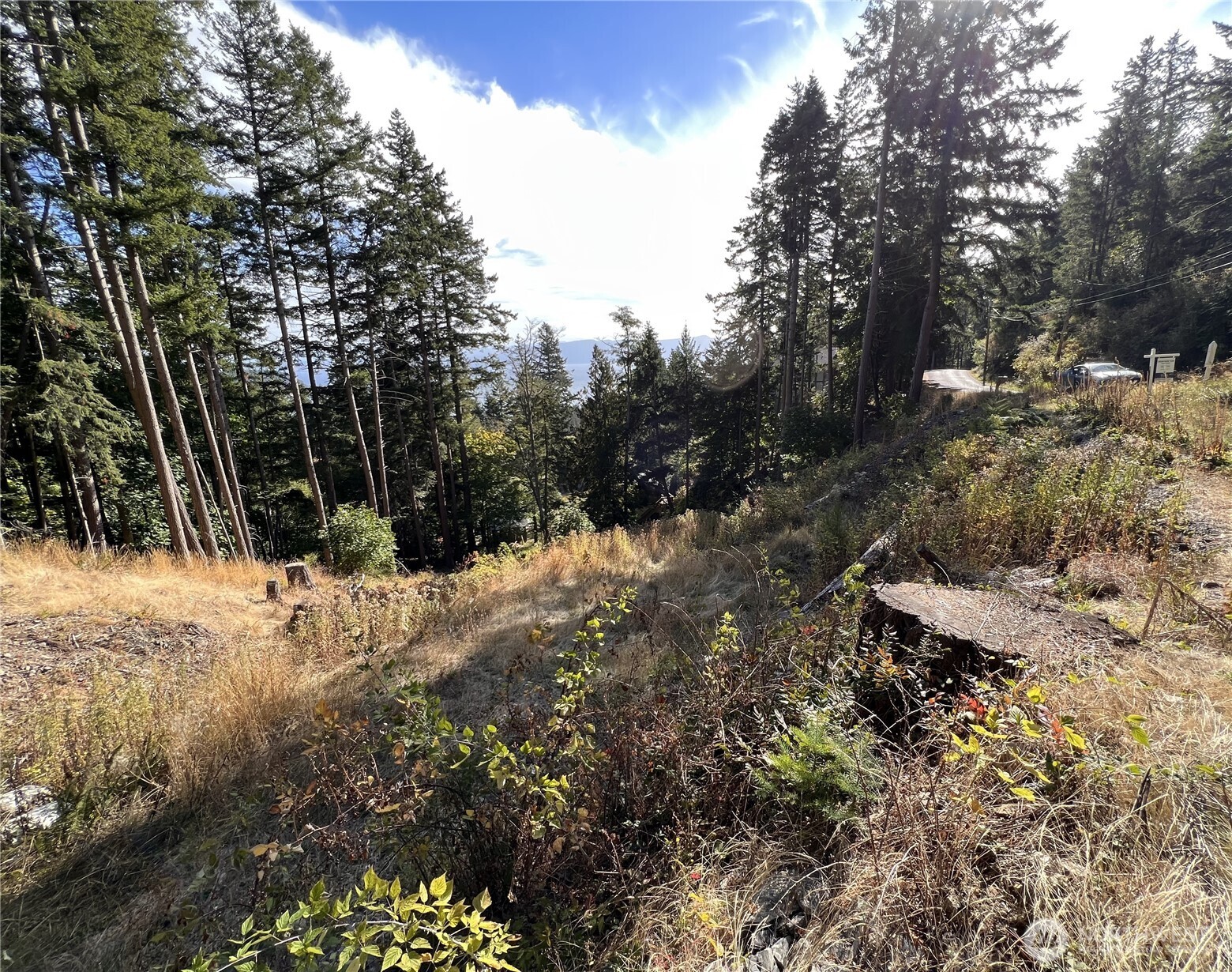 3010 Hales Passage Drive