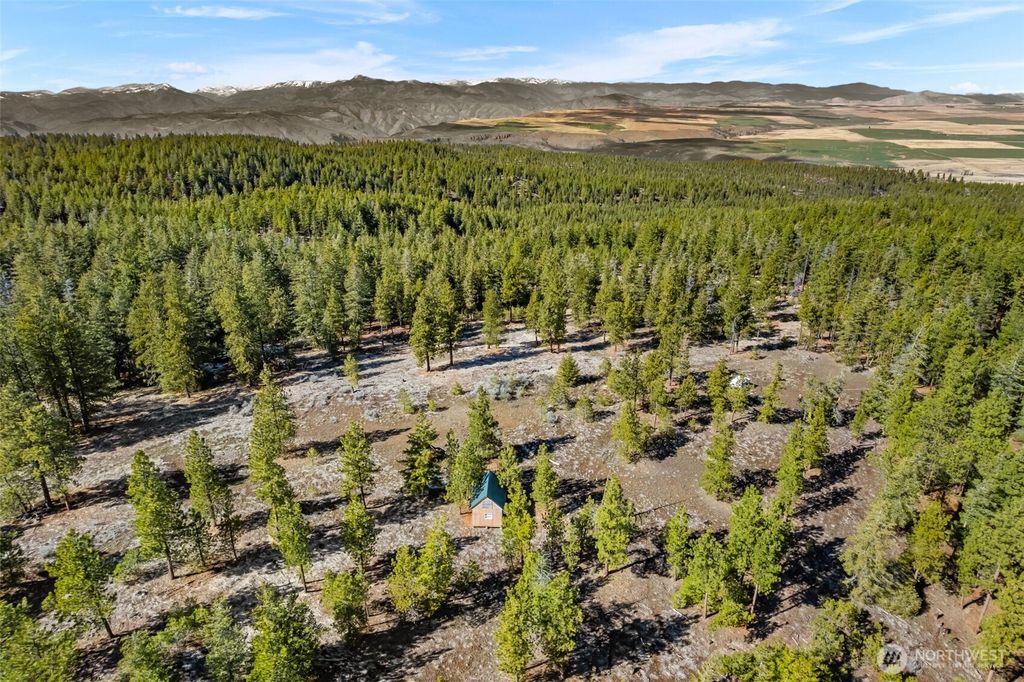 Photo of 110 Blue Bird Ln Ln, East Wenatchee, WA 98802 (MLS # 2502608)