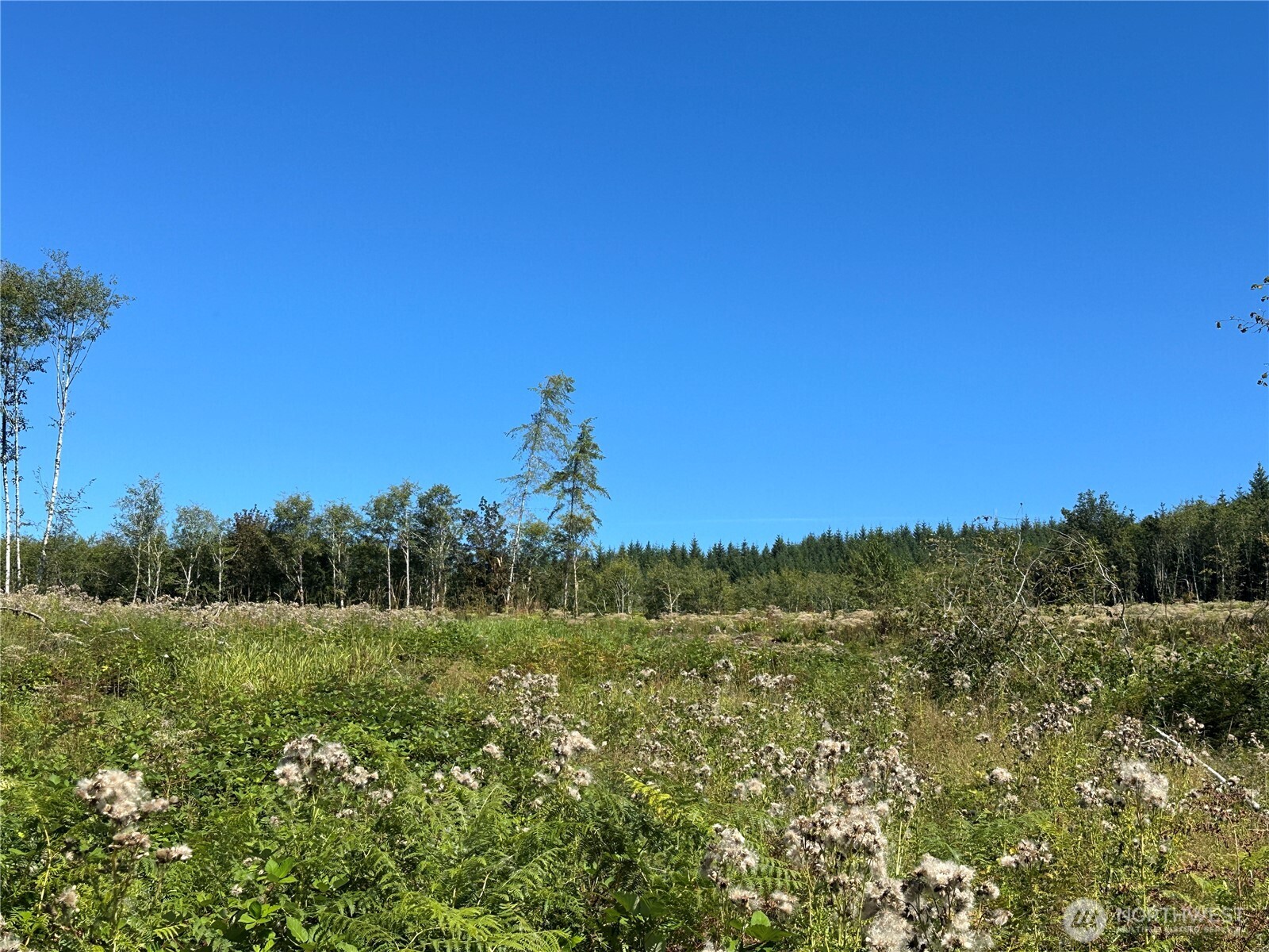 0 Cedar Creek Road