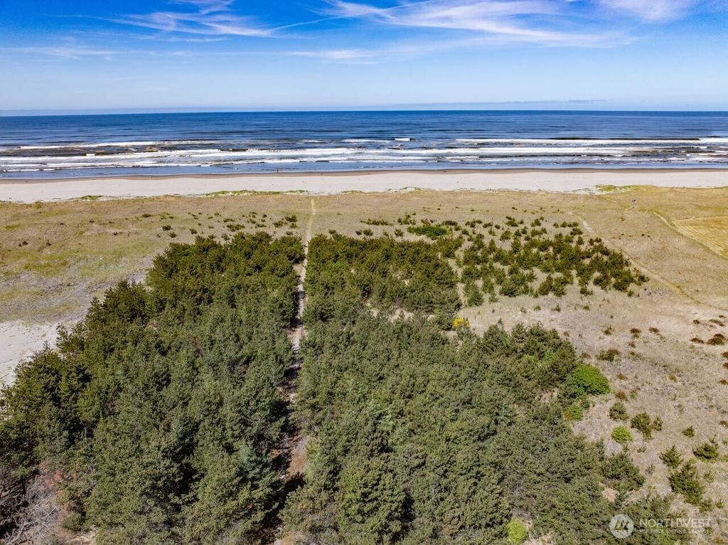 Photo of 1100 212th Lane, Ocean Park, WA 98640 (MLS # 2518962)
