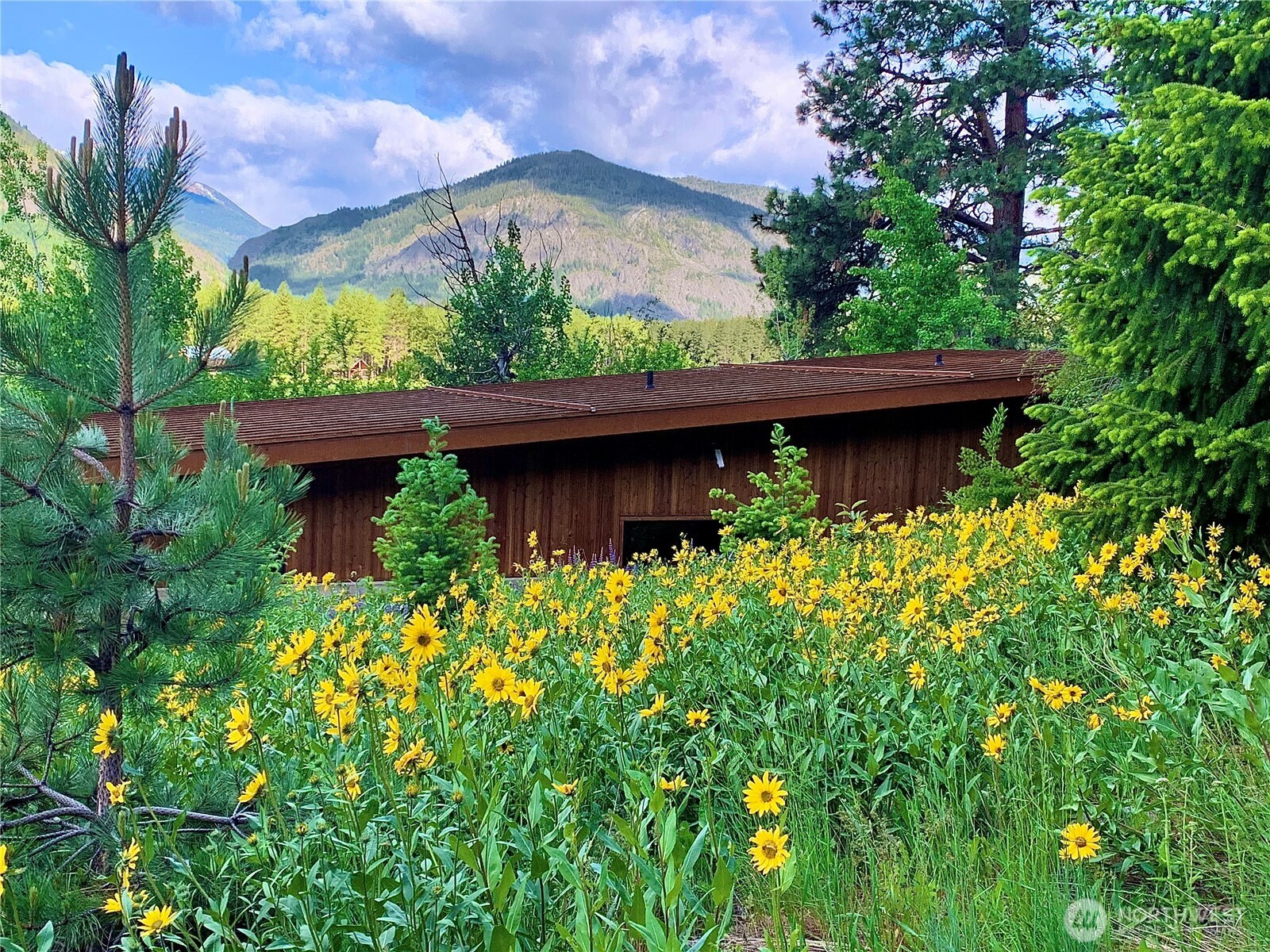 63 Chechaquo Ranch Road