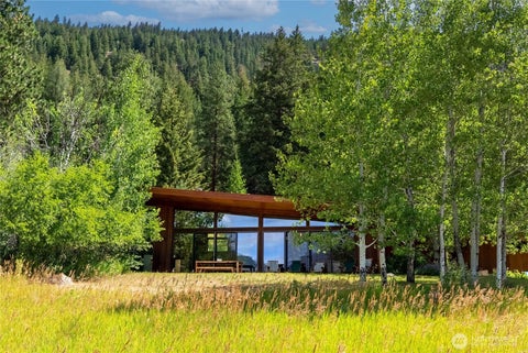 Photo of 63 Chechaquo Ranch Road, Mazama, WA 98833 (MLS # 2550589)