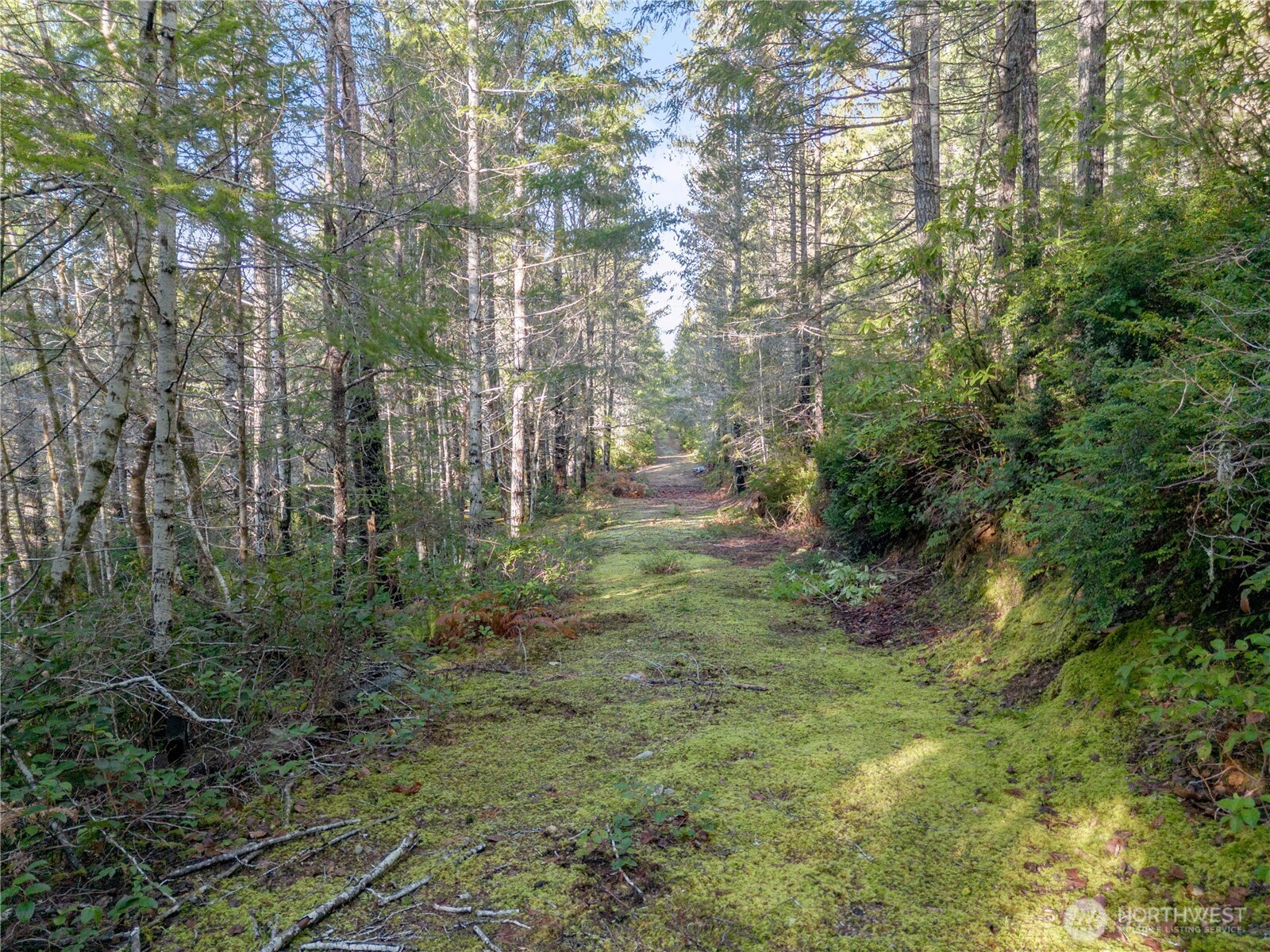 730 NE Black Bear Road