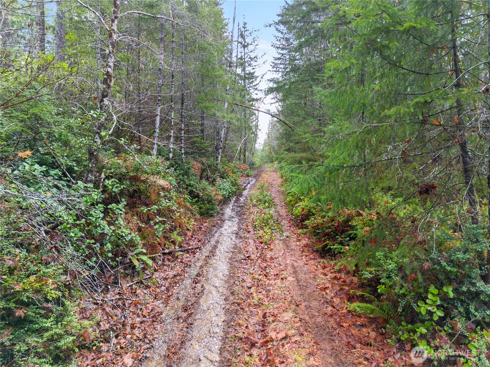 730 NE Black Bear Road