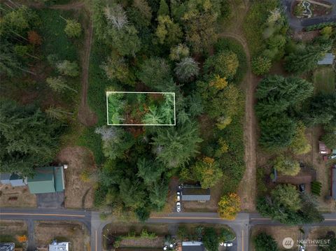 Photo of 0 NW 6th Avenue, Napavine, WA 98532 (MLS # 2439884)