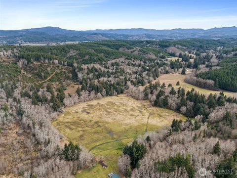 0 Rue Creek Road Raymond WA 98577