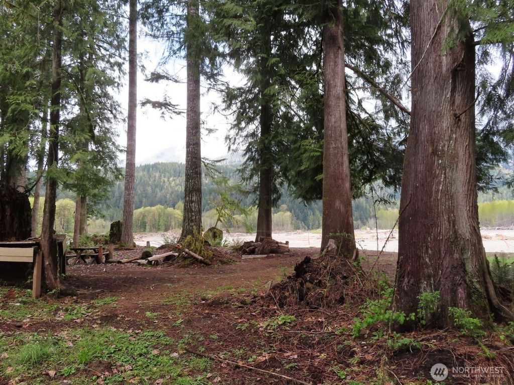 Photo of 0 Cedar Grove Road, Randle, WA 98377 (MLS # 2499610)