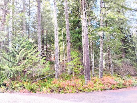 78 Fir Park Lane Packwood WA 98361