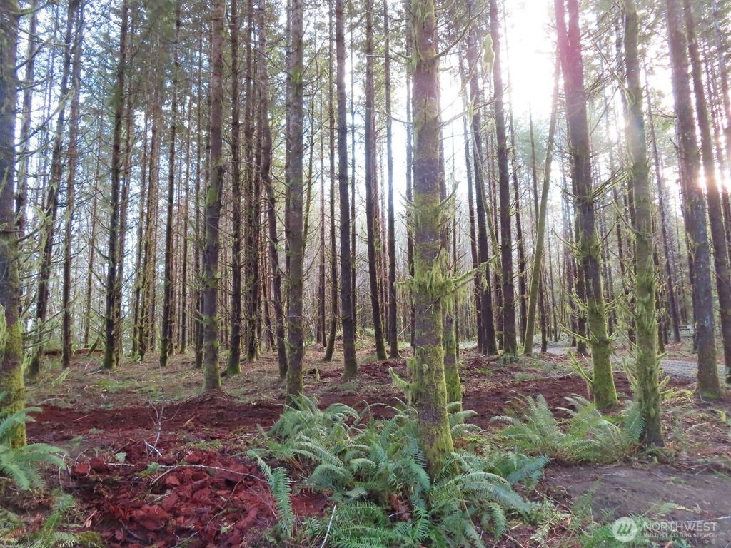 Photo of 2431 N River Road, Cosmopolis, WA 98537 (MLS # 2475793)