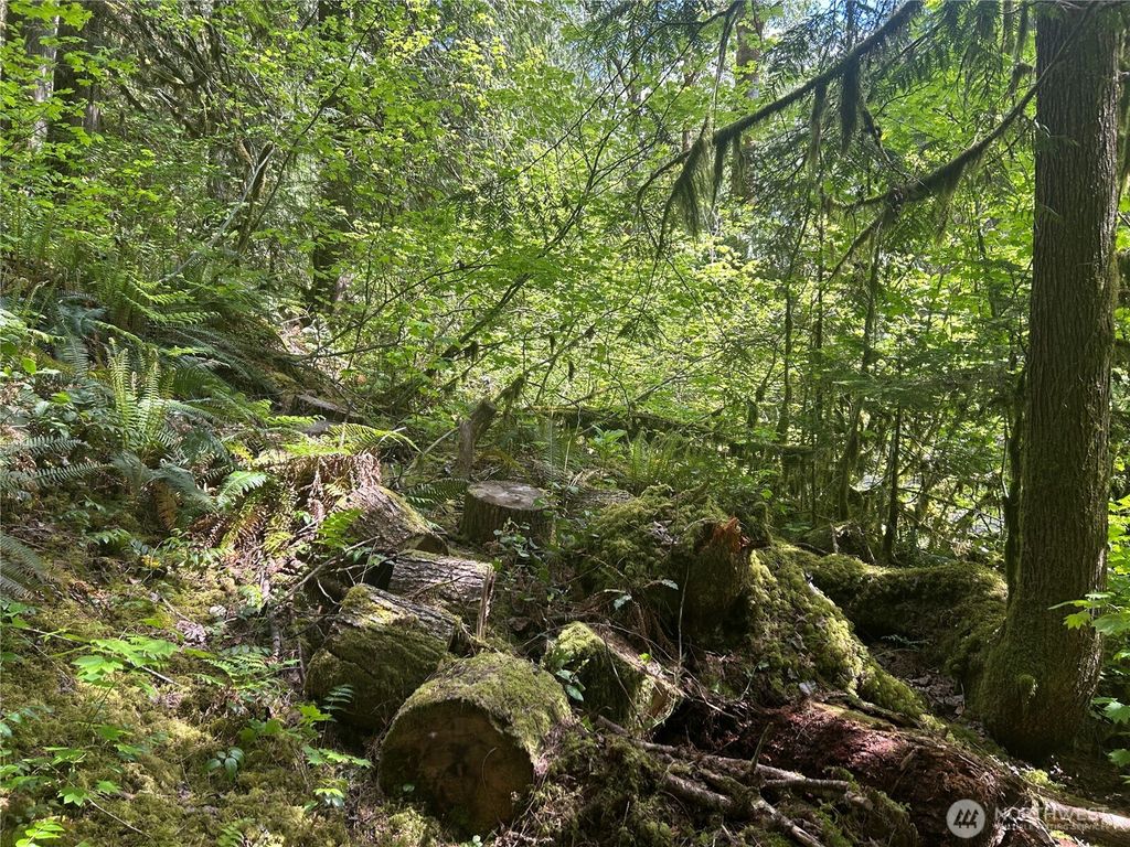 Photo of 64017 E Cascade Drive, Marblemount, WA 98267 (MLS # 2515065)