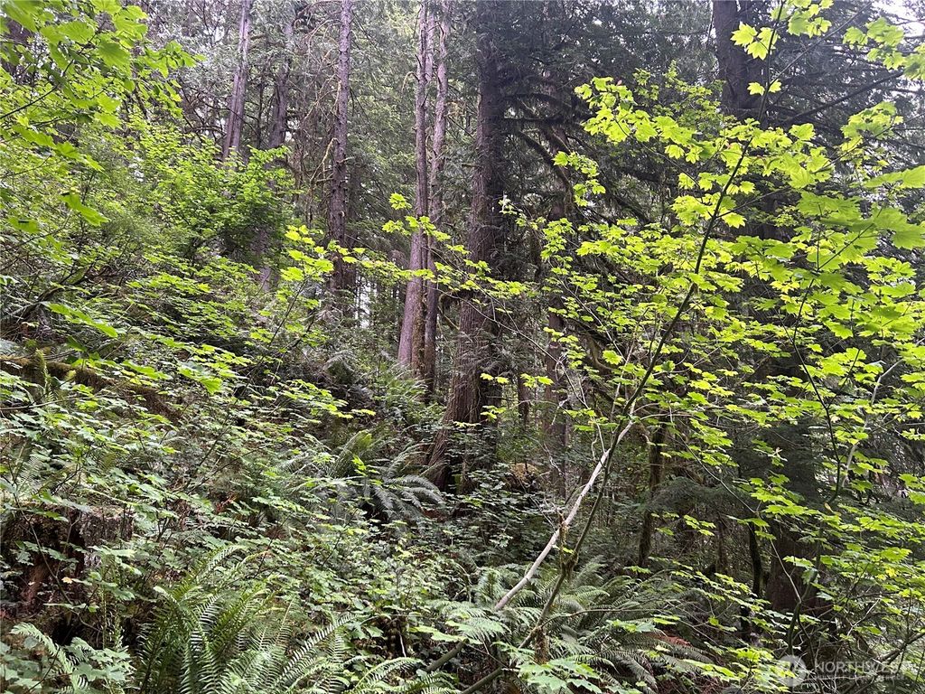 Photo of 64017 E Cascade Drive, Marblemount, WA 98267 (MLS # 2515065)