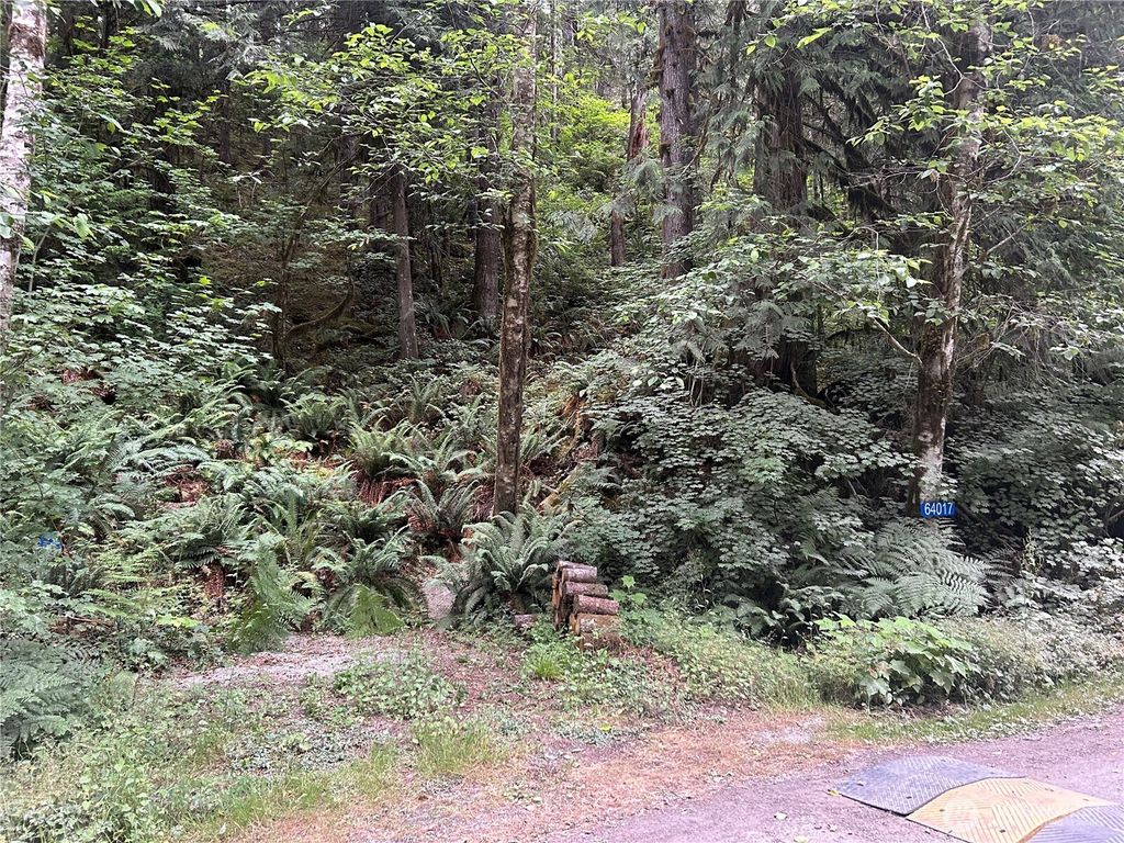 Photo of 64017 E Cascade Drive, Marblemount, WA 98267 (MLS # 2515065)
