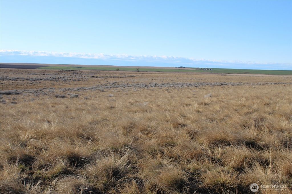 Photo of 0 Schafer and Dewalt Road, Ritzville, WA 99169 (MLS # 2492710)